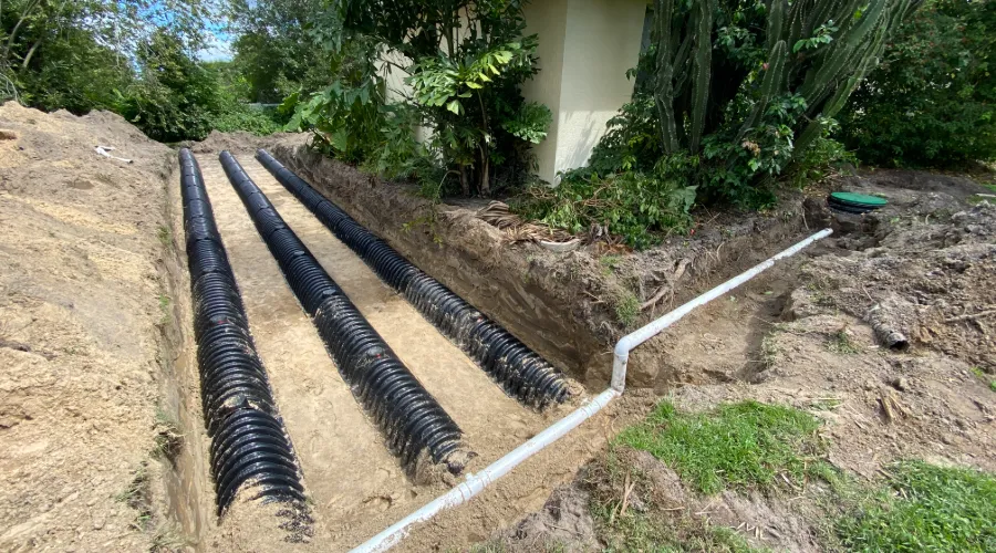 Drain Field Inspections